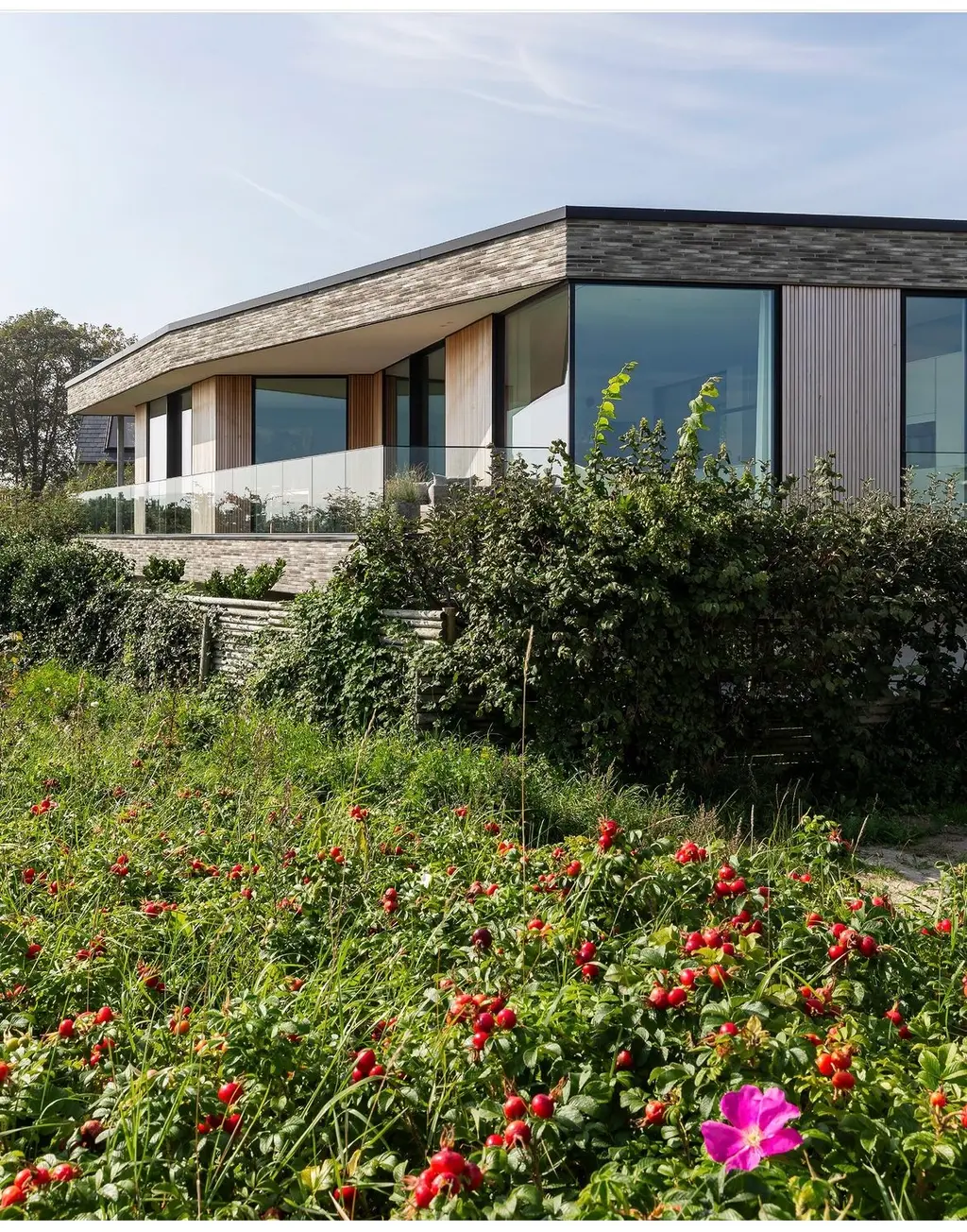 Villa Flemming, Risskov near Aarhus, Denmark — Schüco ASS 77 Panorama Design, FWS 35 and AWS 75 BS (image 1 of 5)